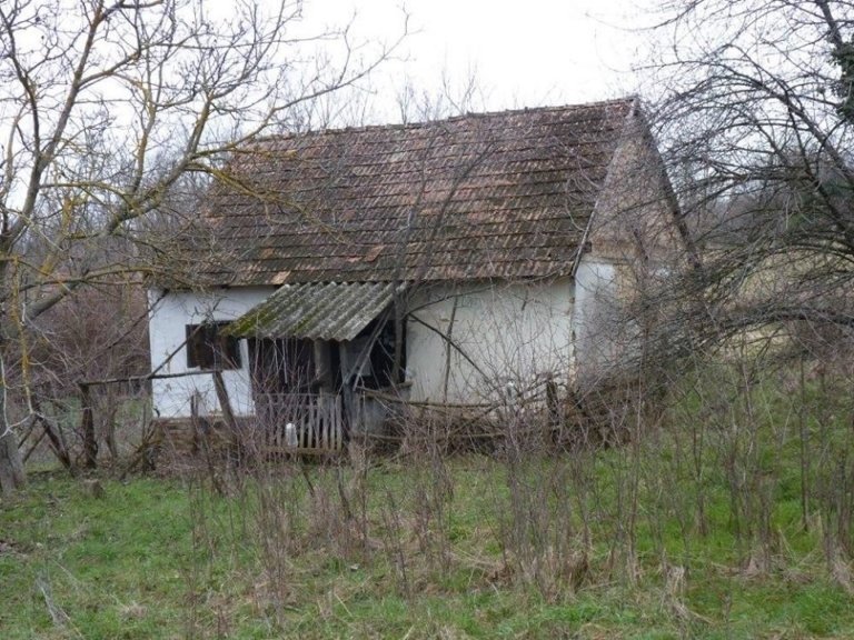 Due to financial constraints, the young family purchased an abandoned house and transformed it into a magical dwelling!