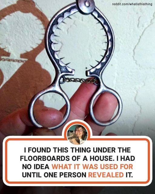 People Wondered about the Purpose of These 6 Things & Got Unexpected Answers