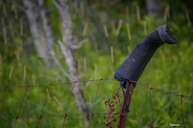 The Meaning Behind A Boot On A Fence Post