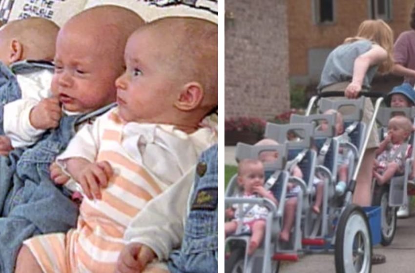 Miracle of the 1990s: The Bizarre Journey of the McCohugh Septuplets