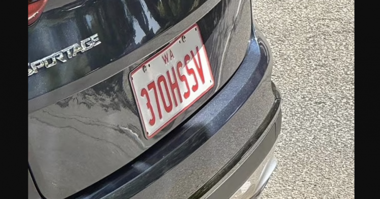 There Are A Lot Of Incorrect Reasons Why This Clever Licence Plate Is Going Viral.