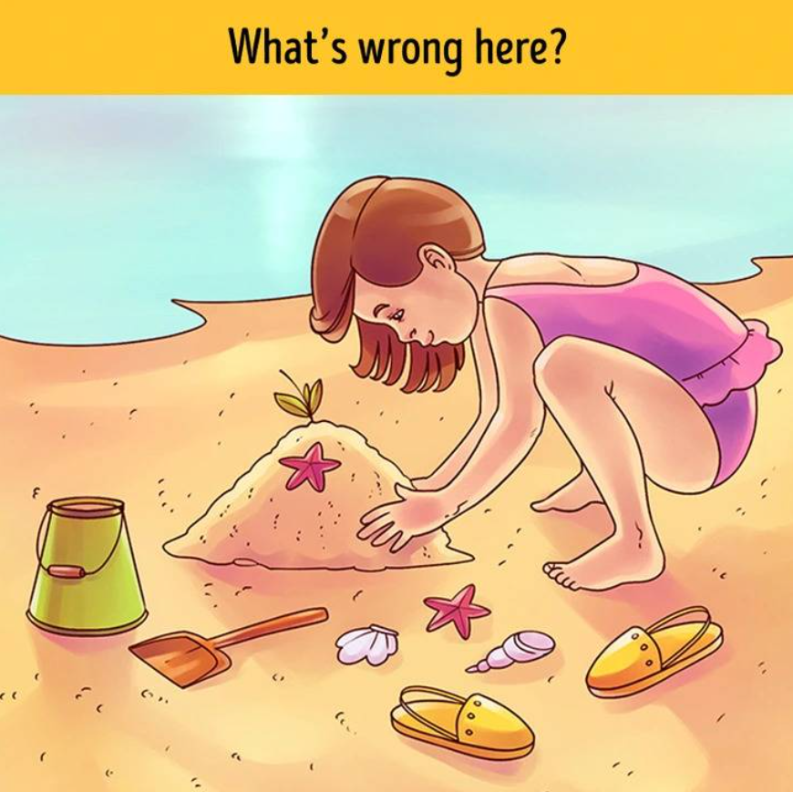 Find The Hidden Fault In The Beach Photo In Five Seconds Or Fewer To Test Your Logical Prowess!