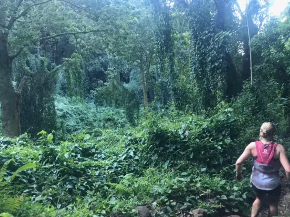 Running through the rainforest, a woman takes a picture and later notices an unsettling detail in the bushes.