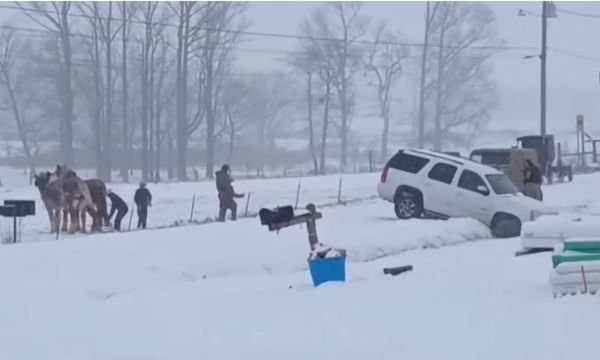 The Amish: Harnessing True Horsepower to Help Others