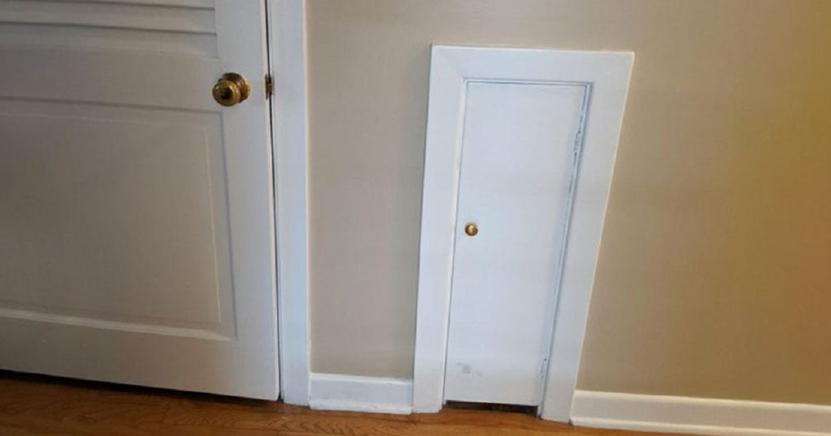 “I saw this tiny door at my neighbor’s house. I’m so confused. What is it for?”