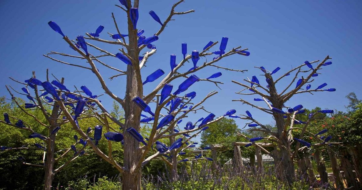 Glass bottles on trees: What Does That Mean?