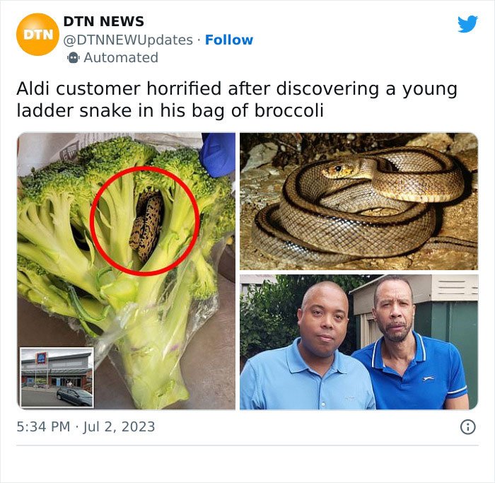 “Shocking Encounter: Horrifying Discovery Made by Man Inside a Bag of Broccoli Purchased at Aldi”