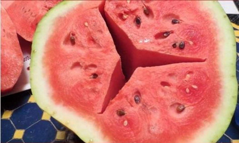 If you cut a watermelon and it looks like this, throw it away immediately