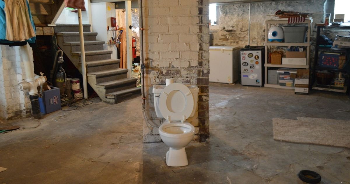 The Justification for the Toilet in the Basement of Certain Old Homes