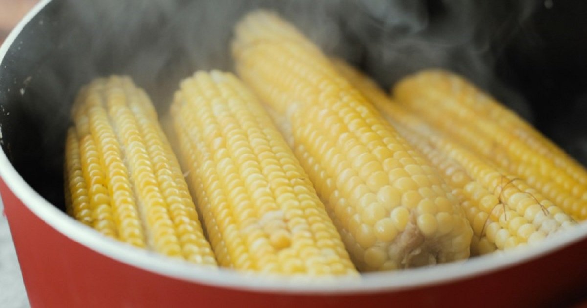 How Long Does It Take to Boil Corn on the Cob to Get Ideal Cooking?