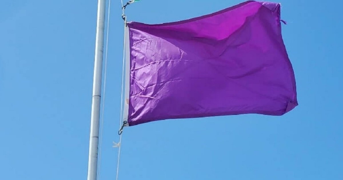 What a Purple Flag at the Beach Means