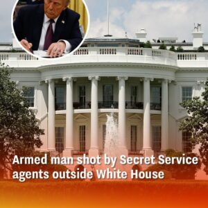 The Secret Service fired on an armed suspect near the White House, and all indications show that Trump is safe. The Secret Service fired on an armed suspect near the White House, and all indications show that Trump is safe.
