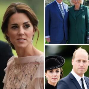 Princess Kate: Plans for Public Appearance After William’s Shocking Revelation Princess Kate: Plans for Public Appearance After William’s Shocking Revelation