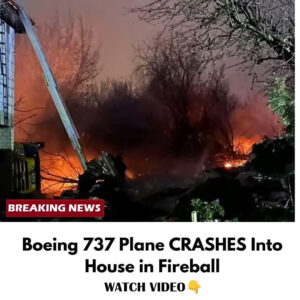 (VIDEO) Boeing 737 Plane (VIDEO) Boeing 737 Plane