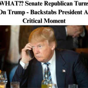 Senate Republican Turns on Trump – Backstabs President at a Critical Moment! Senate Republican Turns on Trump – Backstabs President at a Critical Moment!