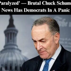 Chuck Todd: Democratic Leaders Jeffries and Schumer “Hampered” by Internal Factional Divisions – An In-Depth Look at the Party’s Internal Struggles. Chuck Todd: Democratic Leaders Jeffries and Schumer “Hampered” by Internal Factional Divisions – An In-Depth Look at the Party’s Internal Struggles.