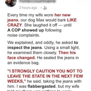 My Dog Changed My Life Forever after He Started Barking Uncontrollably at My Wife’s New Jeans & Revealed Her Secret My Dog Changed My Life Forever after He Started Barking Uncontrollably at My Wife’s New Jeans & Revealed Her Secret