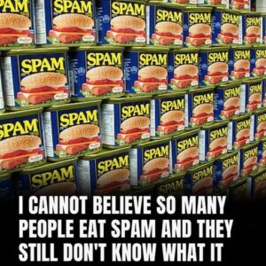 2 / Why Is It Called Spam, Anyway? 2 / Why Is It Called Spam, Anyway?