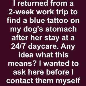 Exploring Pet Tattoos: Popular Trends and Motivations