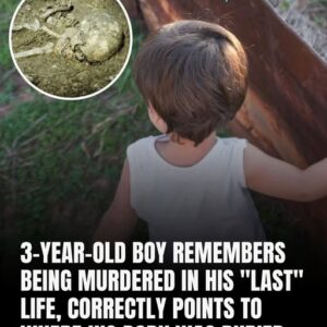2/ A 3-Year-Old Boy Recalls Being Murdered In His “Last” Life And Accurately Identifies The Location Of His Burial 2/ A 3-Year-Old Boy Recalls Being Murdered In His “Last” Life And Accurately Identifies The Location Of His Burial