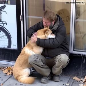 Dog Goes to Closed Store Daily then Leaves, One Evening Poor Boy Notices and Follows It — Story of the Day Dog Goes to Closed Store Daily then Leaves, One Evening Poor Boy Notices and Follows It — Story of the Day