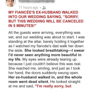 My Fiancée’s Ex-Husband Walked into Our My Fiancée’s Ex-Husband Walked into Our