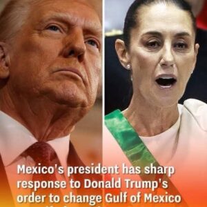 Mexico Challenges Trump’s Attempt to Rename the Gulf of Mexico Mexico Challenges Trump’s Attempt to Rename the Gulf of Mexico