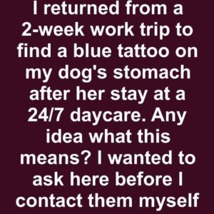 2/ Exploring Pet Tattoos: Popular Trends and Motivations 2/ Exploring Pet Tattoos: Popular Trends and Motivations
