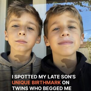 2/ ‘We Want to Eat,’ Twins Beg Lady, She Notices They Have Her Late Son’s Birthmark 2/ ‘We Want to Eat,’ Twins Beg Lady, She Notices They Have Her Late Son’s Birthmark