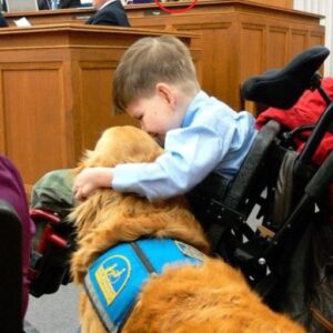 2/ I Brought My Son and His Service Dog to a City Meeting and Changed Everything Unintentionally. 2/ I Brought My Son and His Service Dog to a City Meeting and Changed Everything Unintentionally.