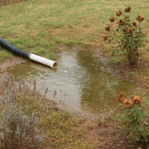 2 / My Neighbor Secretly Redirected His Sewage into My Garden to Save 2 / My Neighbor Secretly Redirected His Sewage into My Garden to Save
