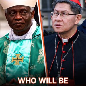 Who Will Be the Next Pope After Francis’s Passing Who Will Be the Next Pope After Francis’s Passing