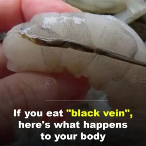 What happens if you eat the black vein in a shrimp’s tail? What happens if you eat the black vein in a shrimp’s tail?
